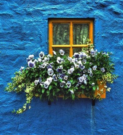 blue Ireland house