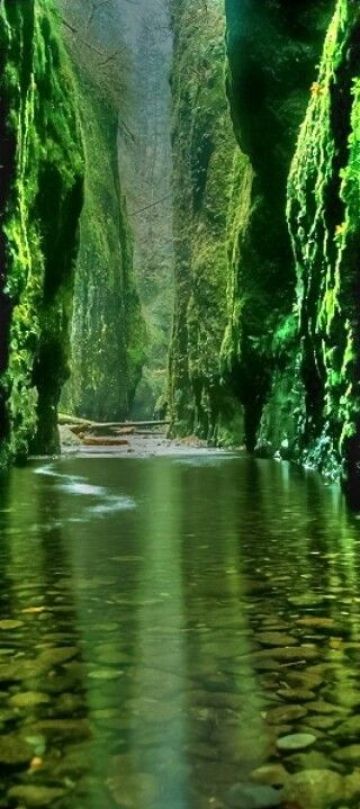 emerald gorge